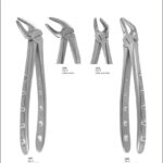 Tooth Extracting Forceps “English Pattern”