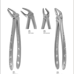 Tooth Extracting Forceps “English Pattern”