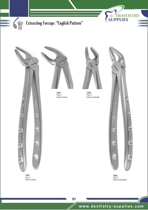 Tooth Extracting Forceps “English Pattern”