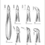Tooth Extracting Forceps “English Pattern”