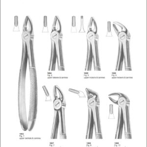 Tooth Extracting Forceps “English Pattern”