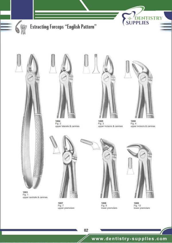 Tooth Extracting Forceps “English Pattern”