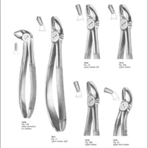 Tooth Extracting Forceps “English Pattern”