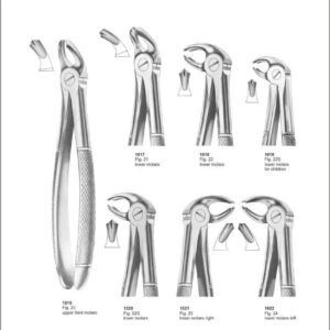 Tooth Extracting Forceps “English Pattern”