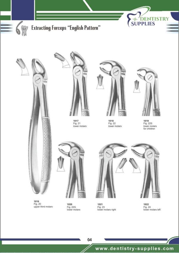 Tooth Extracting Forceps “English Pattern”