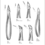 Tooth Extracting Forceps “English Pattern”