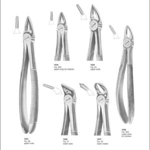 Tooth Extracting Forceps “English Pattern”