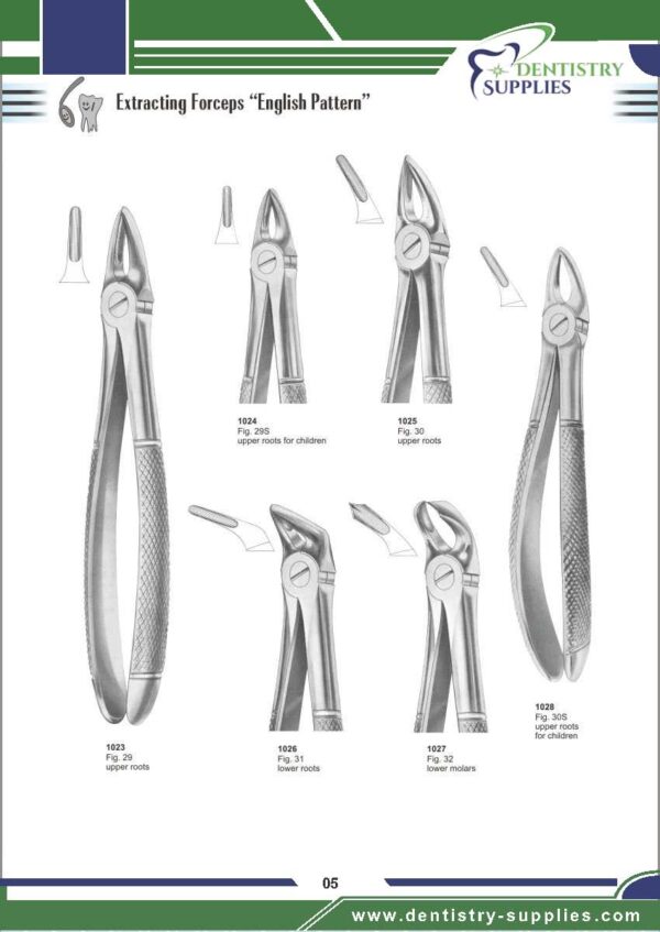 Tooth Extracting Forceps “English Pattern”