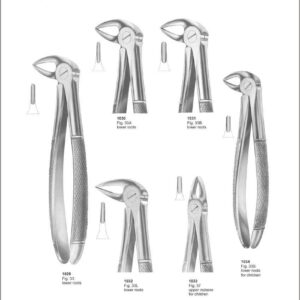 Tooth Extracting Forceps “English Pattern”