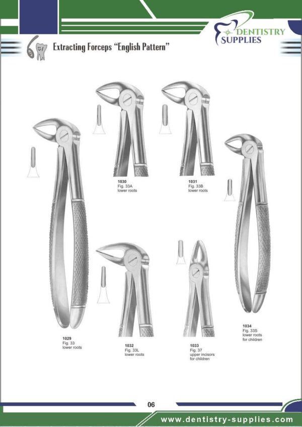 Tooth Extracting Forceps “English Pattern”