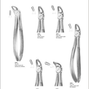 Tooth Extracting Forceps “English Pattern”