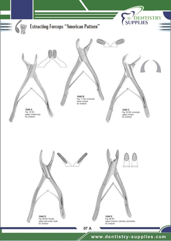 Tooth Extracting Forceps “American Pattern”