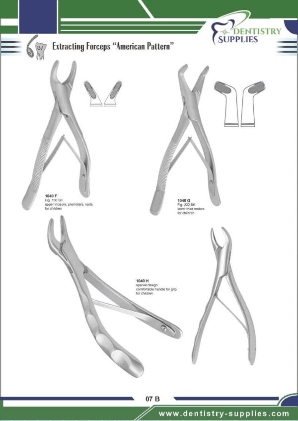 Tooth Extracting Forceps “American Pattern”