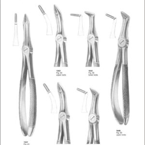 Tooth Extracting Forceps “English Pattern”