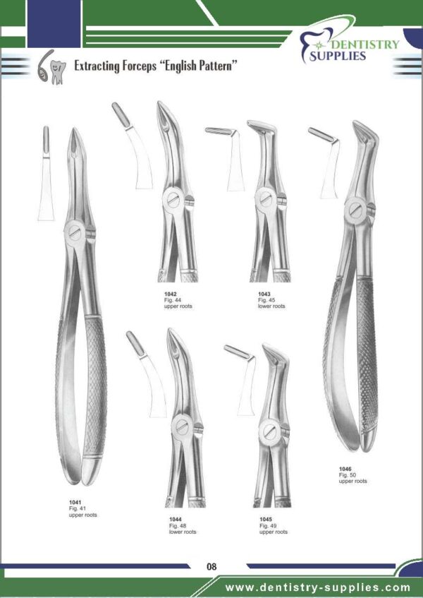 Tooth Extracting Forceps “English Pattern”