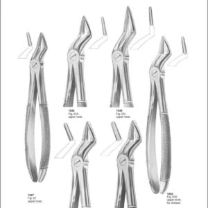 Tooth Extracting Forceps “English Pattern”