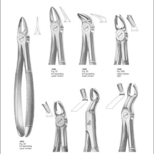 Tooth Extracting Forceps “English Pattern”