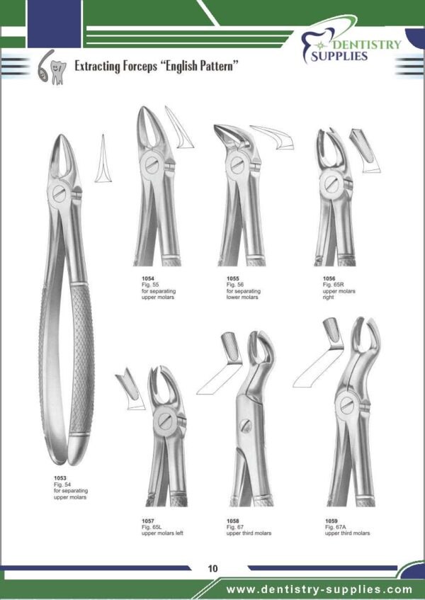 Tooth Extracting Forceps “English Pattern”
