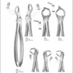 Tooth Extracting Forceps “English Pattern”