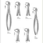 Tooth Extracting Forceps “English Pattern”
