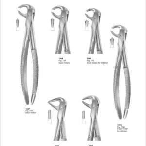 Tooth Extracting Forceps “English Pattern”