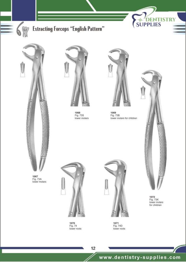 Tooth Extracting Forceps “English Pattern”