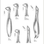 Tooth Extracting Forceps “English Pattern”