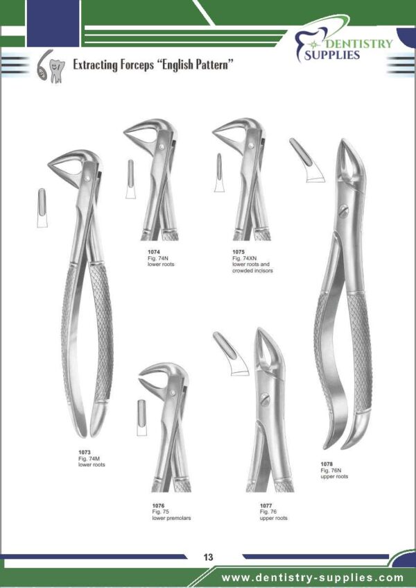 Tooth Extracting Forceps “English Pattern”