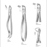 Tooth Extracting Forceps “English Pattern”