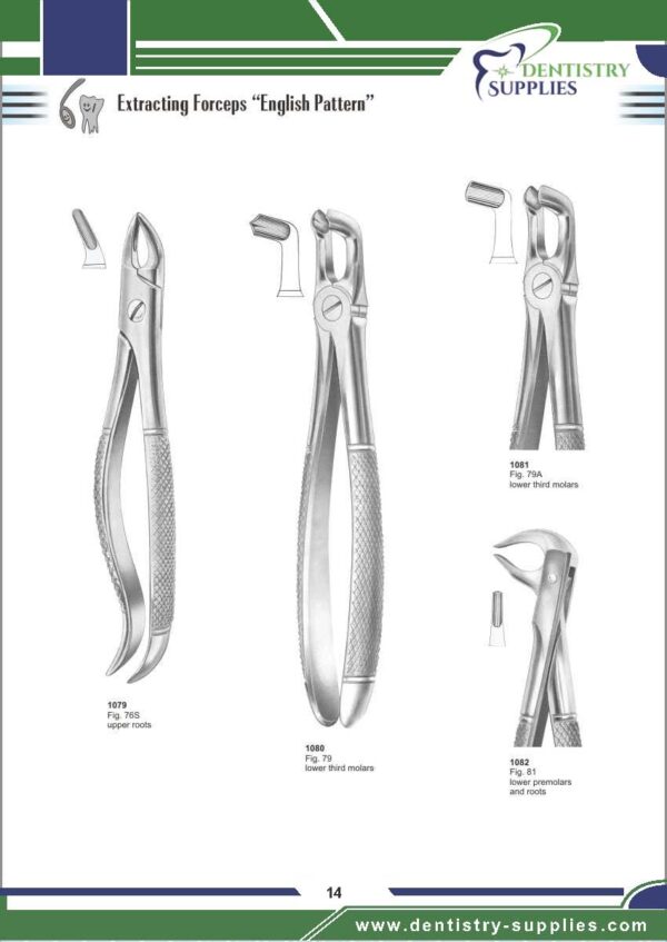 Tooth Extracting Forceps “English Pattern”