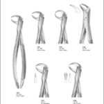 Tooth Extracting Forceps “English Pattern”