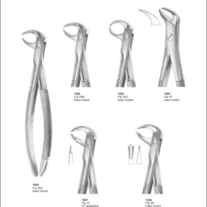 Tooth Extracting Forceps “English Pattern”