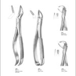 Tooth Extracting Forceps “English Pattern”