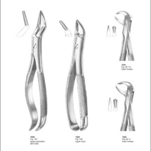 Tooth Extracting Forceps “English Pattern”