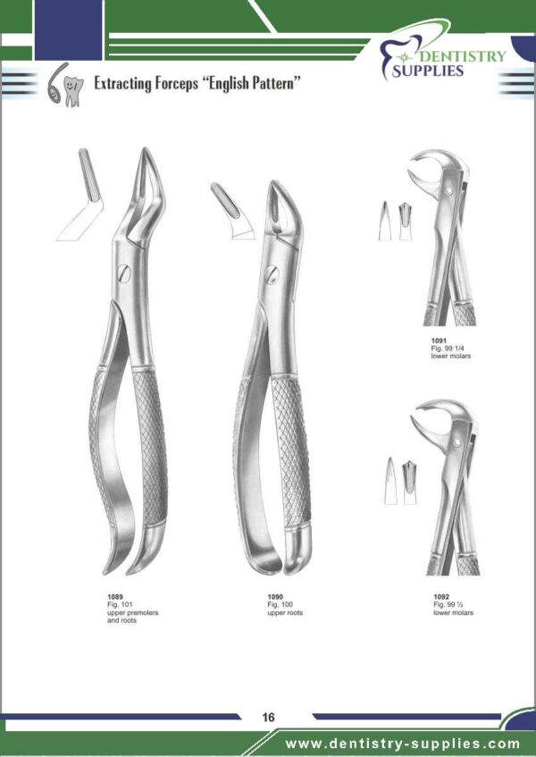Tooth Extracting Forceps “English Pattern”