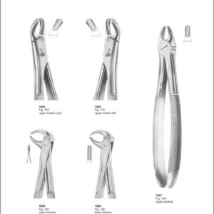 Tooth Extracting Forceps “English Pattern”