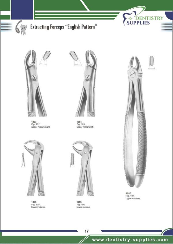 Tooth Extracting Forceps “English Pattern”