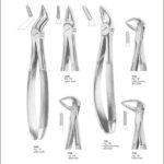 Tooth Extracting Forceps “English Pattern”