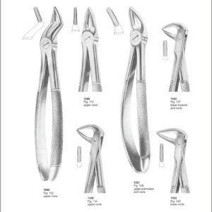 Tooth Extracting Forceps “English Pattern”