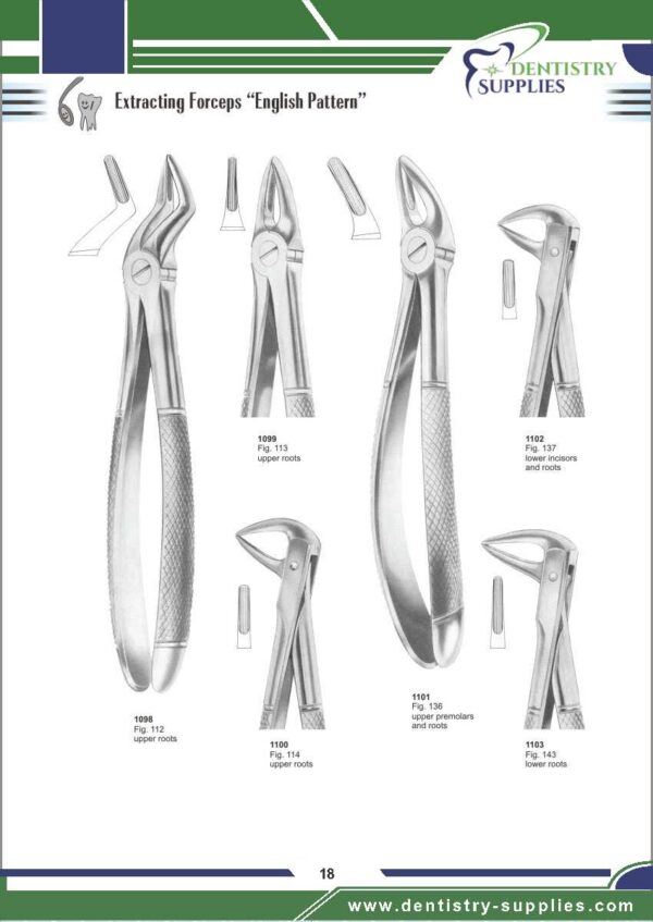 Tooth Extracting Forceps “English Pattern”
