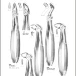Tooth Extracting Forceps “English Pattern”