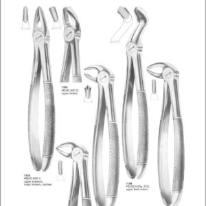 Tooth Extracting Forceps “English Pattern”