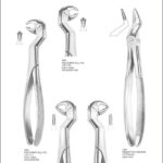 Wisdom Extracting Forceps