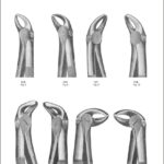 Tooth Extracting Forceps “English Pattern”