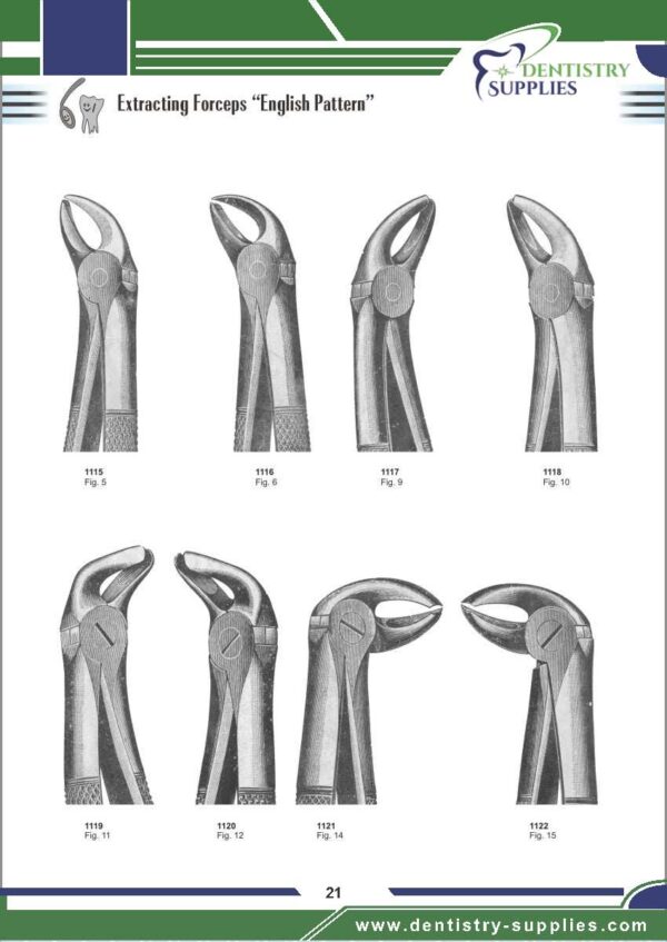 Tooth Extracting Forceps “English Pattern”