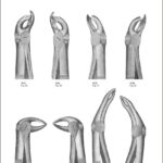 Tooth Extracting Forceps “English Pattern”