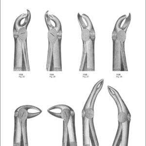 Tooth Extracting Forceps “English Pattern”