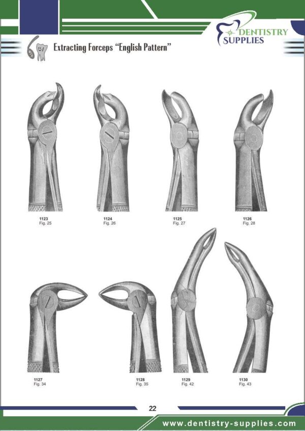 Tooth Extracting Forceps “English Pattern”