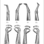 Tooth Extracting Forceps “English Pattern”