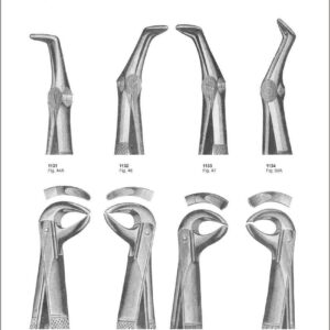 Tooth Extracting Forceps “English Pattern”